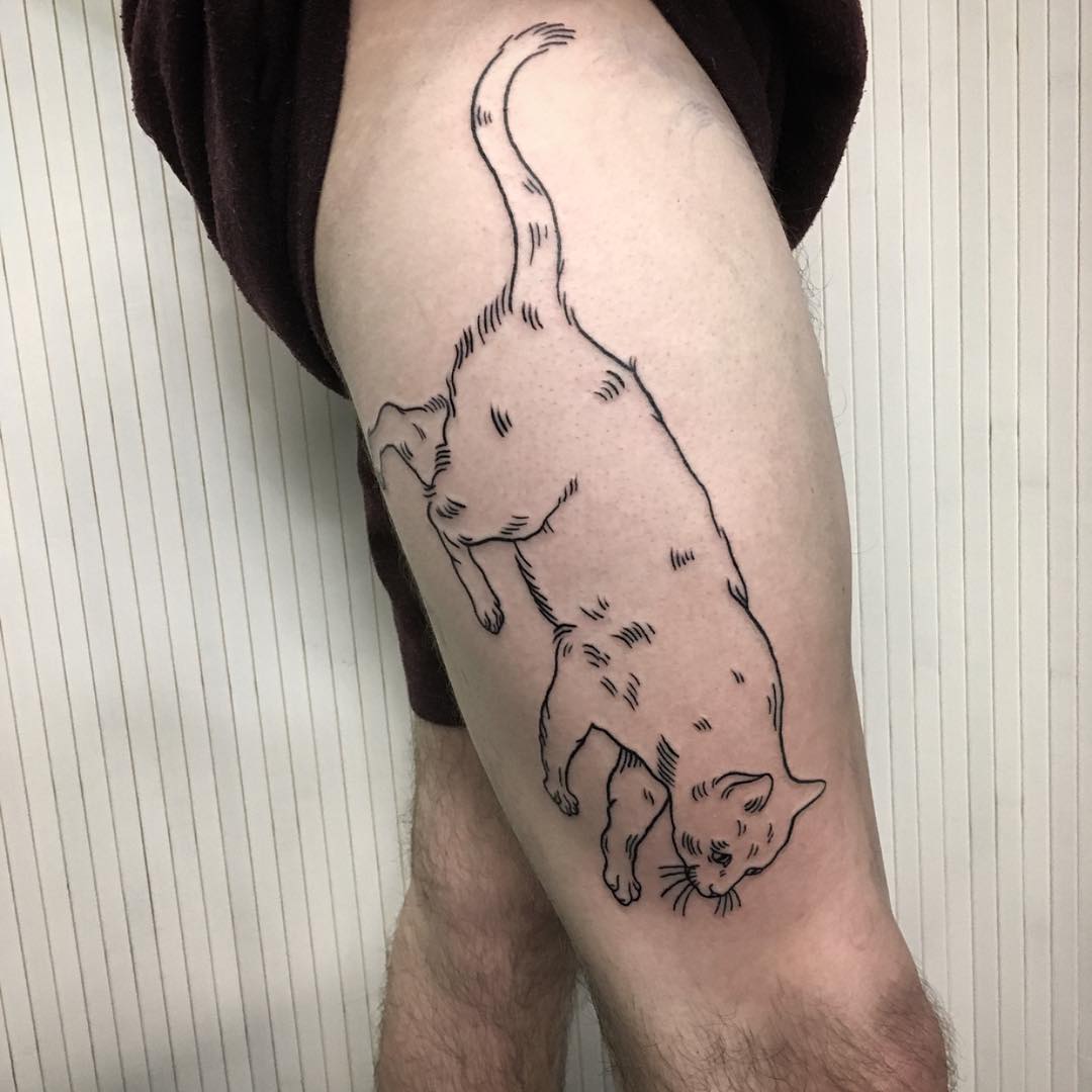 ȼèͼ