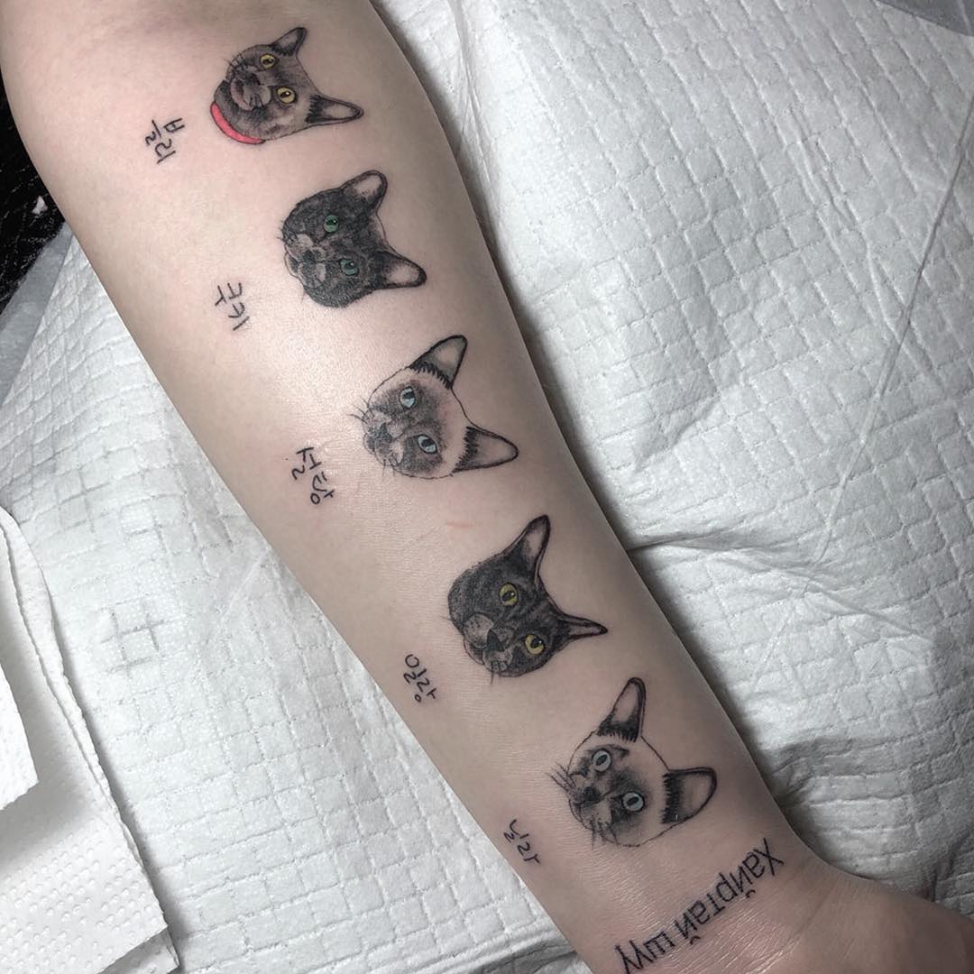 Сۺڻè享ͼ
