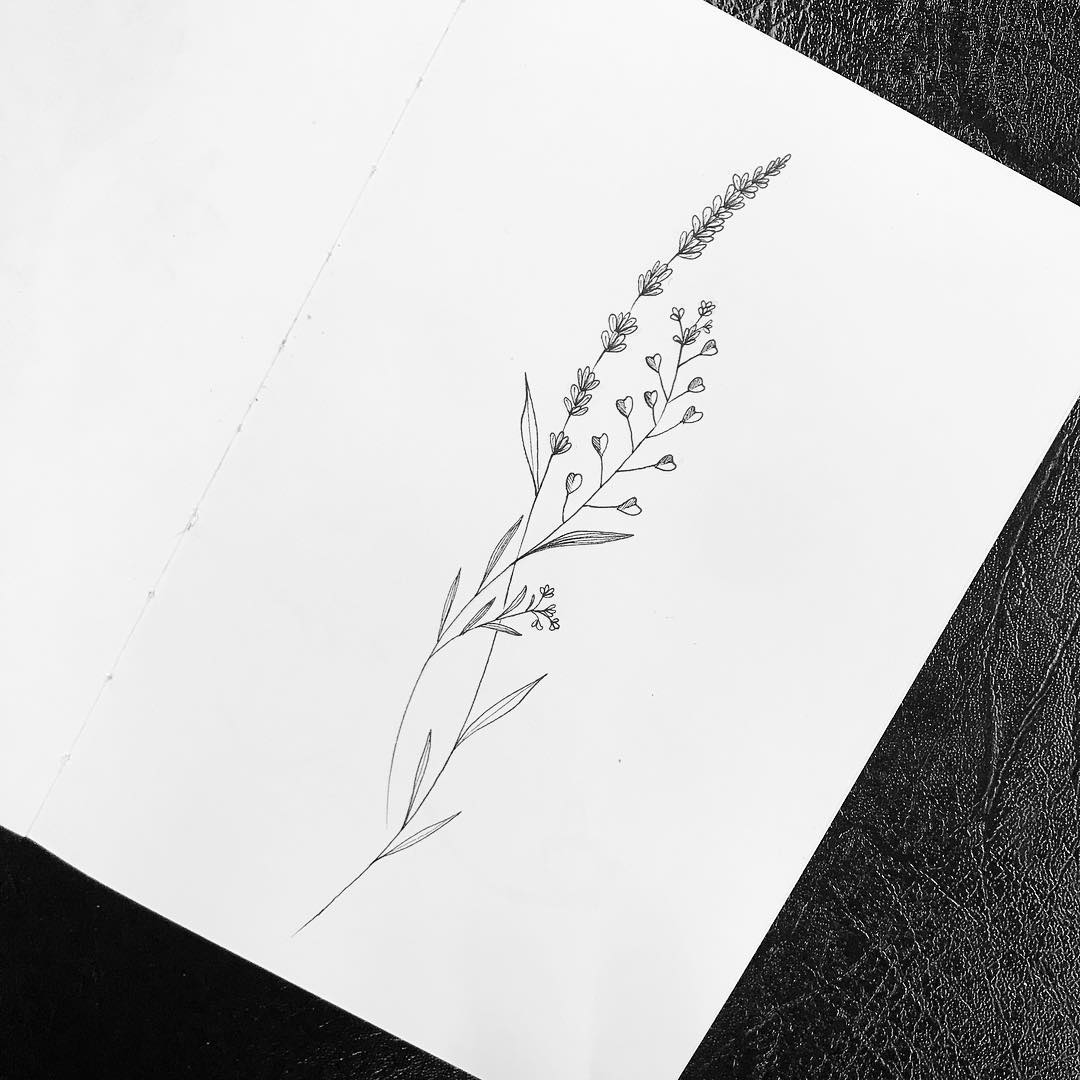 ޹²ָ